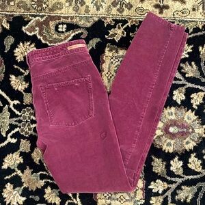 Pilcro Stretch Cords